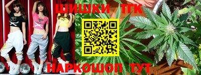 дурь Гагарин