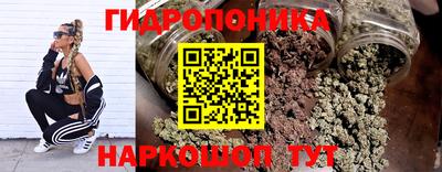 мдпв Гай