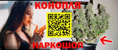 прущие крисы Будённовск